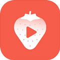 成年版丝瓜草莓视频手机版