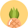 菠萝菠萝蜜免费视频高清观看手机版