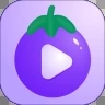茄子视频app破解无限制版