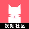 猫咪社区视频安卓版