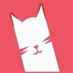 猫咪最新地域网名免费版