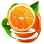 橘子直播app手机版