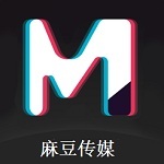 麻豆视传媒网站正式版