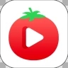 番茄视频免费版