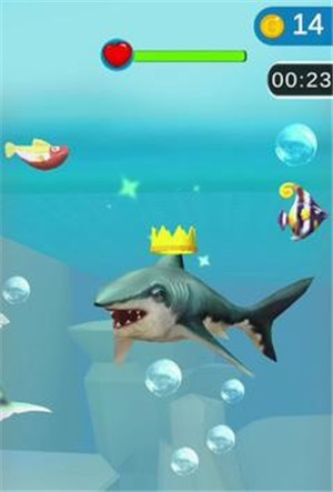 鲨鱼疯狂3D手机版截图1