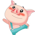 猪猪影视清爽版